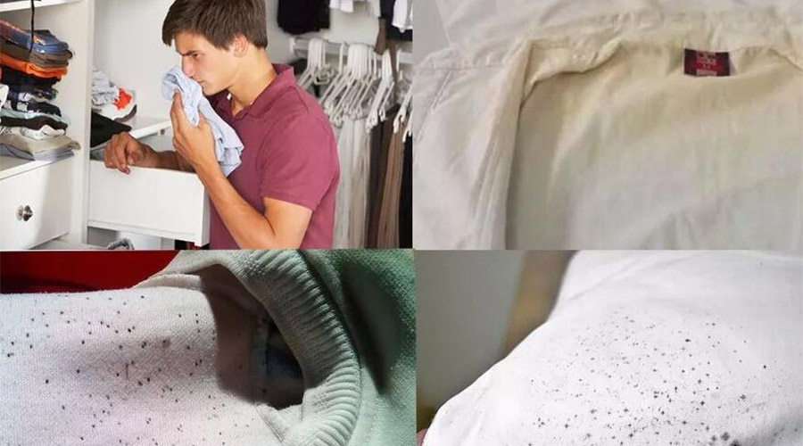 衣服護理小常識：潮濕天衣物有霉味不宜穿  該怎么辦？