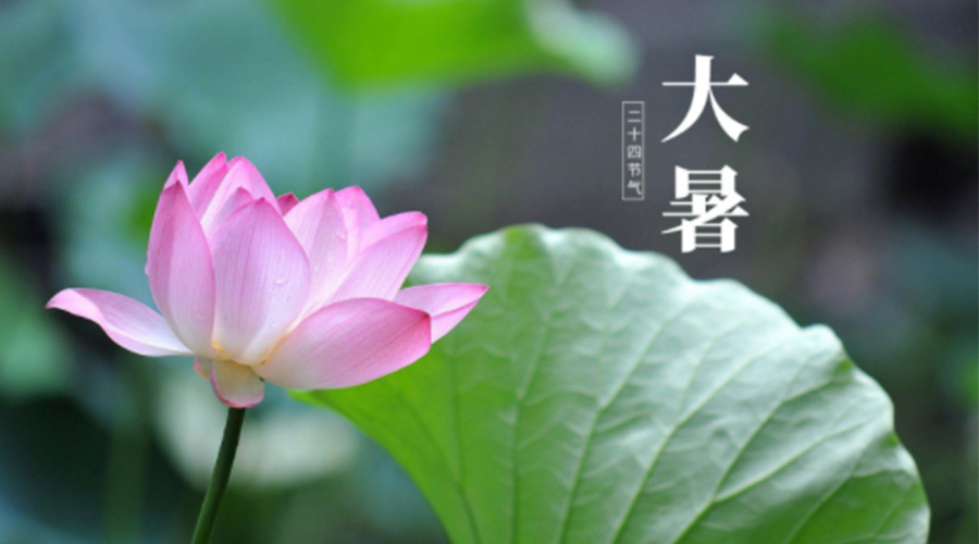 大暑時(shí)節(jié)！金環(huán)電器提醒大家注意這些干衣細(xì)節(jié)