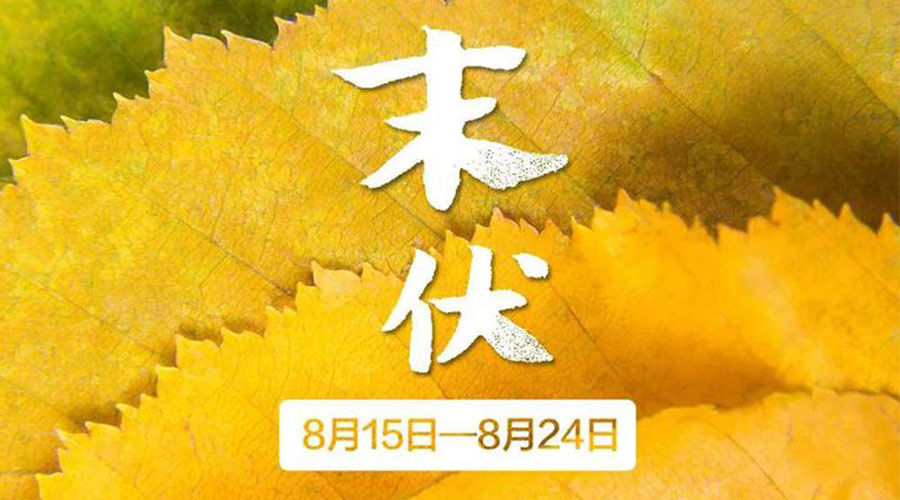 末伏時節(jié)！金環(huán)電器提醒你謹(jǐn)記這些注意事項