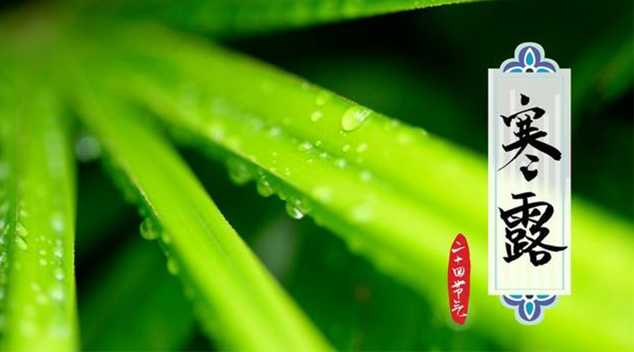 寒露時節(jié)到！金環(huán)電器提醒這些干衣事項要注意