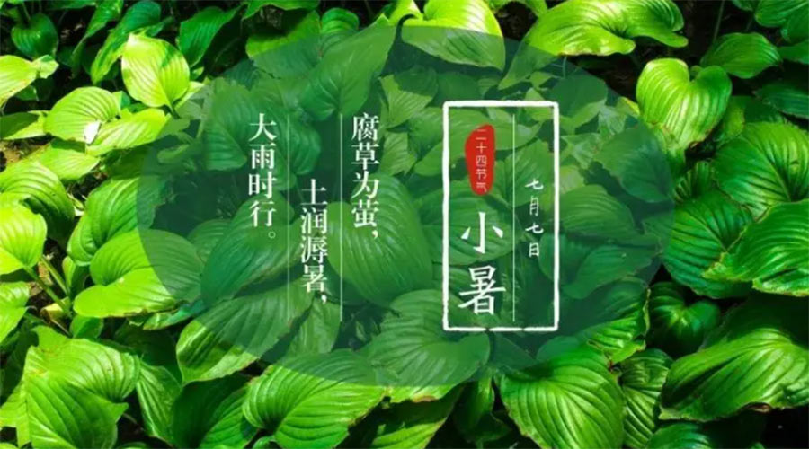 小暑時(shí)節(jié)來到！金環(huán)電器提醒大家要注意的事項(xiàng)