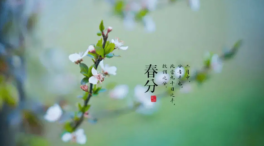 春分雨水多易生菌！金環(huán)電器提醒你衣物要注意處理