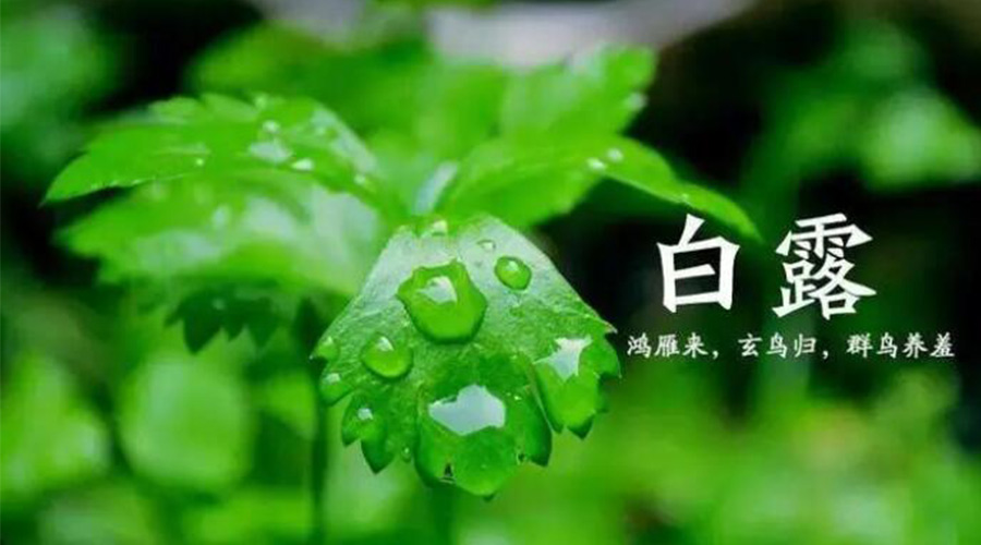 白露時(shí)節(jié)！金環(huán)電器提醒大家要注意的事項(xiàng)
