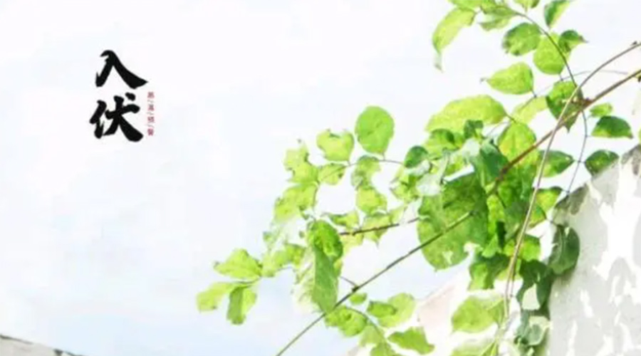 初伏時(shí)節(jié)！金環(huán)電器提醒大家要注意的事項(xiàng)