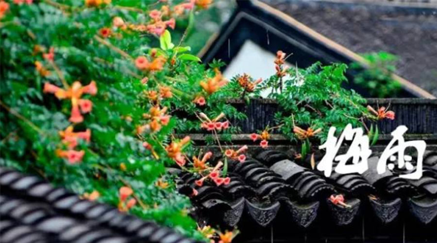 什么是梅雨？梅雨如何形成？  金環(huán)電器告訴你答案